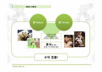 [디자인과경영전략] 생태 관광지 조성 사업 계획서(굴업도)-13