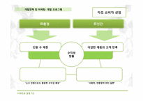 [디자인과경영전략] 생태 관광지 조성 사업 계획서(굴업도)-17
