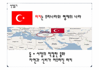 [여행사경영론] 터키 관광 일정 프로그램-3