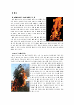 [한국의도시와기업] 한국의 전통 도시 그 역사적 형성과 변화과정 조사 및 답사(순천)-15