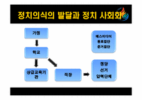 [정치분석론] 청소년의 정치의식-8