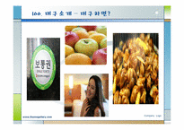 [한국관광지리] 대구의 관광지 조사 분석-3