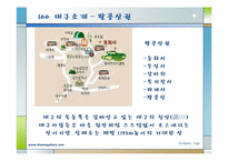 [한국관광지리] 대구의 관광지 조사 분석-10