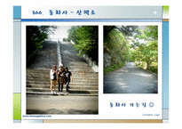 [한국관광지리] 대구의 관광지 조사 분석-15