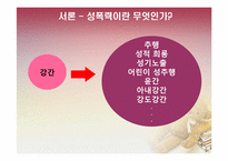[법여성학] 성폭력 가해자와 피해자의 특성과 이에 따른 사회적 제도-3