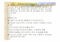 [간호학] 산과 염기의 불균형에 따른 증상-10