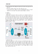 [환경분석론] 법률적 환경의 실패와 극복 사례-7