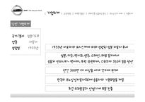 [다국적기업론] 닛산 르노 해외 진출 성공요인 분석-3