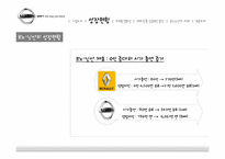 [다국적기업론] 닛산 르노 해외 진출 성공요인 분석-5