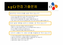 CJ 인사직무 레포트-17