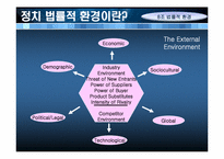 [환경분석론] 법률적 환경의 실패와 극복 사례-4