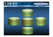 [환경분석론] 법률적 환경의 실패와 극복 사례-8