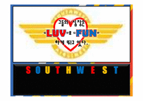 south west 사우스웨스트항공사 성공전략-1