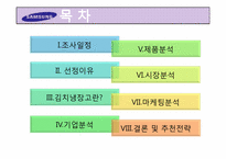 [마케팅] 삼성전자 하우젠 마케팅분석-2