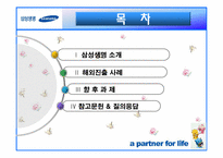 [국제경영] 삼성생명 해외진출-2
