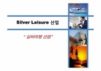 [마케팅원론, 사업계획서] 실버여행 산업-1