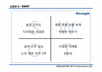 [마케팅원론, 사업계획서] 실버여행 산업-4