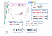[국제마케팅] 이지 밸브 발바리수도의 아부다비 진출-12