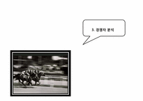 [국제마케팅] 이지 밸브 발바리수도의 아부다비 진출-16