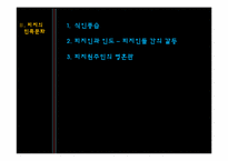 [관광문화론] 피지 관광문화 창출-5