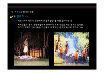[관광문화론] 피지 관광문화 창출-15