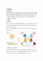수소자동차 레포트-10