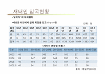 다문화 가정의 청소년 문제와 교육방안-13