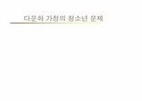 다문화 가정의 청소년 문제와 교육방안-14