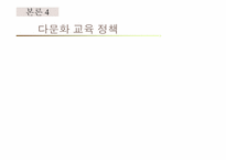 다문화 가정의 청소년 문제와 교육방안-20