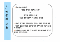[교육심리학] 제12장 지능과 특수아 지도-5
