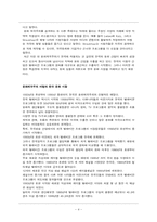 문화제국의의 재해석 -떠오르는 국내시장 VS 계속되는 미국의 지배-4