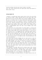 문화제국의의 재해석 -떠오르는 국내시장 VS 계속되는 미국의 지배-5