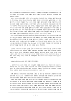 문화제국의의 재해석 -떠오르는 국내시장 VS 계속되는 미국의 지배-12