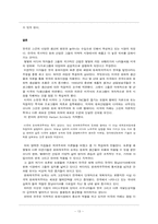 문화제국의의 재해석 -떠오르는 국내시장 VS 계속되는 미국의 지배-13