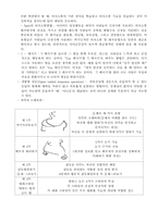 [가족 프로그램 개발] 가정폭력 경험가족을 위한 프로그램-16
