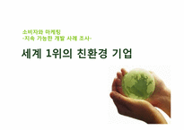 지속 가능한 개발 사례 조사 -세계 1위의 친환경 기업-1