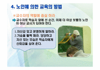 [노인교육학개론] 9장 노인에 의한 교육-11