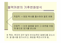 기후커넥션 레포트-3