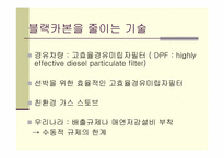 기후커넥션 레포트-4