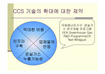 기후커넥션 레포트-6