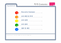 [광고조사] 현대카드의 신용카드 시장 내 브랜드 이미지 강화와 점유율 확대를 위한 광고 전략 수립 정량조사 보고서-2