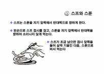 글로벌비지니스에티켓] 프랑스 예절, 문화-9