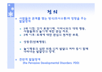 전반적 발달장애(PDD)-3
