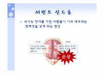 전반적 발달장애(PDD)-16