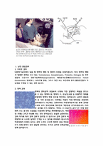 [간호학] 불임진단-4