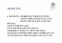 미디어산업의구조연구-9