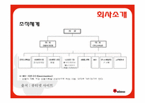 [마케팅의이해] MISSHA(미샤)의 비용우위와 가격경쟁-8