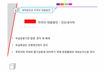 [국제경영] 타이바트의붕괴에 따른 아시아 금융위기와 대처방안-8