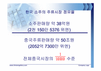 [국제마케팅] 진로J의 중국진출 전략-9