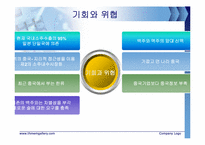 [국제마케팅] 진로J의 중국진출 전략-13